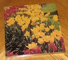 041187080355 Hoyle Dutch Treat Yellow