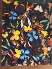 091683014378 Springbok Butterfly Collection Piece Jigsaw Puzzle Complete