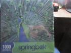 1jig10382 091683103614 Springbok Eyes Of Color Jigsaw Puzzle Pc Factory