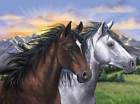 099252782475 Fx Schmidt Spirit Of The Wind Puzzle Pc