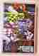 0992524 099252981304 Fx Schmid Photo Finish 1000 Pc Jigsaw Puzzle F.x 98130 German