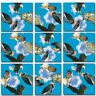 10019  Scramble Squares Birds Of Prey 696747596618