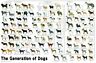 11-372 Epoch Pieces Jigsaw Puzzle Aim Master Dog Genealogy