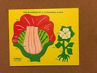 135-3 Playskool The Blossom Of A