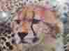 15-282-90 Eaton Vintage Jigsaw Puzzle Cheetahs 1976