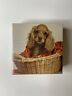 150pzl7099 Springbok Vintage Sealed Mini Jigsaw Puzzle Sweet Innocence Cocker Spaniel