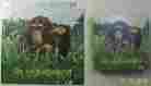 175pzl7135 Springbok Puzzle Life Is A Puzzlement 70 Pieces Chimpanzee Monkey