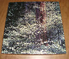 18x22 Springbok Dogwood Trees 500 Piece Jigsaw Puzzle Complete