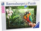 19188 Ravensburger Cozy Macaws 1000pc 4005556191888