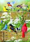 2496 Buffalo Games Large Piece Family Songbird Menagerie 300 Jigsaw Puzzle B 079346024964
