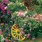 2508 Springbok Puzzles Blooming Cart 091683025084