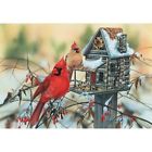 30624 Sunsout Cardinals Rustic Retreat 796780306240