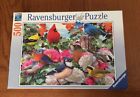 4005556142231 Ravensburger Garden Birds 500
