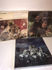 41187080706 Hoyle Products New Jigsaw Puzzle Pieces Monkey Dog