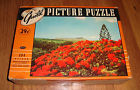 4430 29 Whitman Poinciana Regia