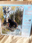 46541 Sunsout 15 Black Bears 796780465411