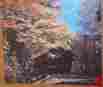 4661-33 Whitman Vintage Guild Jigsaw Puzzle 750 Pcs White Mountain Natl Forest