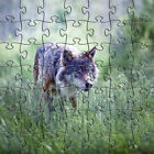 608887434569 Zen Art Design Puzzles Artisanal Alpha Wolf Wooden