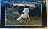 639277641069 Wonders Of Nature White Horse Piece Jigsaw Puzzle