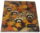 Pzl2084 648614939974 Springbok Roving Rascals Racoon