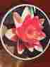650pc Milton Bradley Circular Jigsaw Puzzle Contempo Water Lily Round