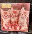 66334 Posies Pussies 650 Kitten Vintage Pcs Puzzle Puppies Jaymar
