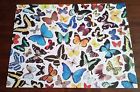 681410341251 Remarks Butterfly 750 Piece