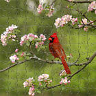 682055039091 Zen Art Design Puzzles Artisanal Summer Cardinal Wooden