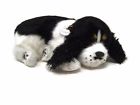737412996422 Perfect Petzzz Cocker Spaniel