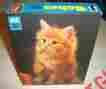 75912 The Rainbow Works Babes Golden Girl Cat Puzzle 63 Pieces New Sealed
