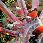 796780246812 Sunsout Round Robbin Jigsaw