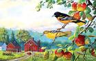 796780712218 Sunsout Old Orchard Hideaway