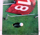 8014 Hoyle Piece Golf Jigsaw Puzzle Triple Bogey 041187080140