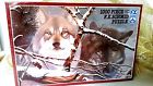 0992520 90019 F Schmid Wolves Eyes In