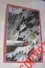 0992523 90162 F.x Schmid 1000 Piece Puzzle Bird Watchers Cats Item 099252901623