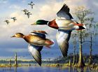 Buf11162 Buffalo Games Hautman Brothers 079346111626