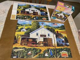 Buffalo Games 079346026036 Charles Wysocki Americana Inch Catchinft Bugs 300 Large Pieces Puzzle