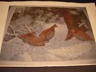 C1930 Jigsaw Fallen Puzzle Wooden 300pc " Snow "grouse Box 223j Orig