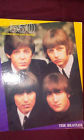 Golden Spotlight The Beatles 550 Piece Puzzle 033500052941
