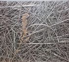 Hoyle Hay In A Needle Stack Jigsaw Puzzle 550 Pieces Copyright 1982 New Sealed 041187080164