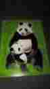 J506032r Judy Instructo Vintage Wooden Puzzle Panda And Cub 10 Piece 1990