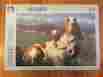 Magnum Basset Hound 1000 Piece Panorama Puzzle 9781592849789