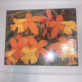 Merrigold Press 033500503825 500 Piece Jigsaw Puzzle Tropical Orchid Flower Garden Sealed Vtg