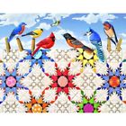 Mpz0041 Sunsout Mini Feathered Stars 796780004108