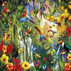 N-a Buffalo Games Vivid Collection 079346027286
