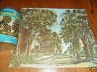 No.204 Whitman Jigsaw Puzzle Vintage Deluxe Guild Picture Shady Lane Landscape