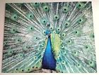 Pavillion Jigsaw Puzzle 1990 Peacock Feather Fantasy 1000 Pieces Complete 400066215101