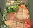 Puzzle20 Gaston Mfg Co Vintage Gaston1953 Wood Blocks 6 Diff.picture Puzzles Animals
