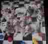 Pzl-2465 Springbok Jigsaw 500 Here Spot Dalmations Sealed 015012236880