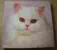Pzl2088 Springbok Snowball Jigsaw Puzzle 500 Pcs Cat Hallmark